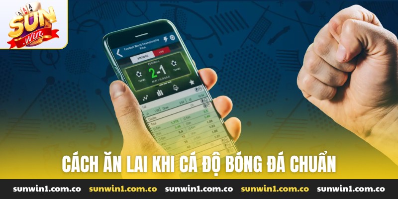Cách ăn lai khi cá độ bóng đá chuẩn